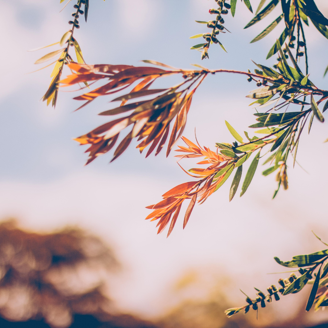 Seasonal Nourishment: Warming Recipes to Balance Your Body and Soul.