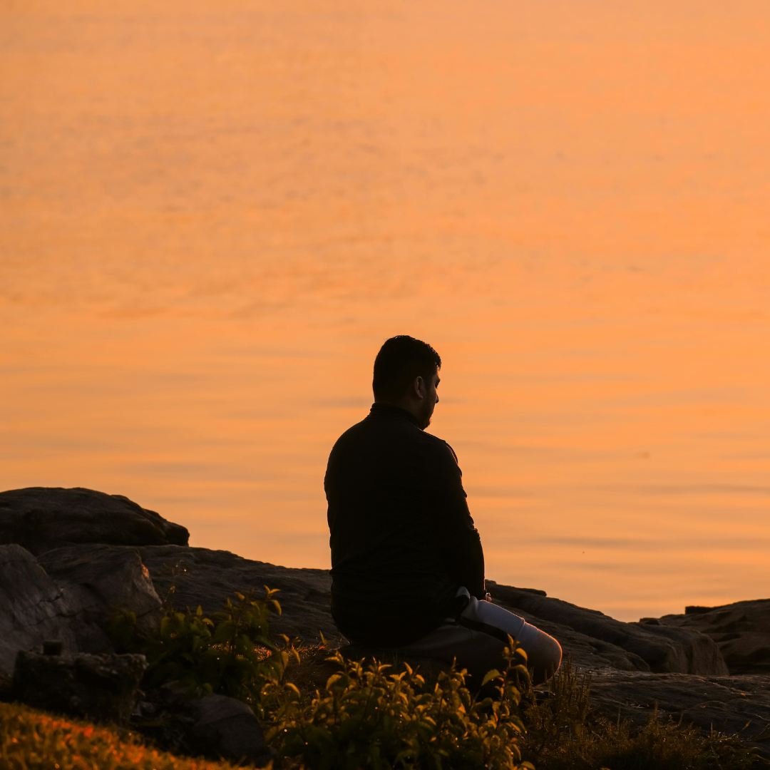 Rooted in the Rhythm of Rest: A Rewilded Rhythms™ Approach to Fall.
