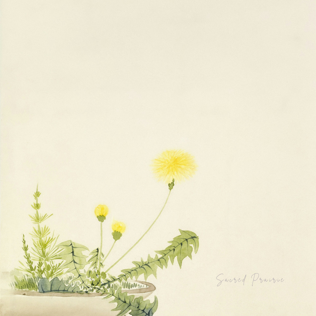 Spring Clearing: Dandelion, Bitters, and the Art of Lightening Your Rhythm.