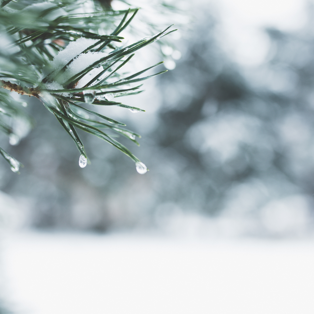 Winter Wellness: Ayurvedic Practices for the Cold Season.