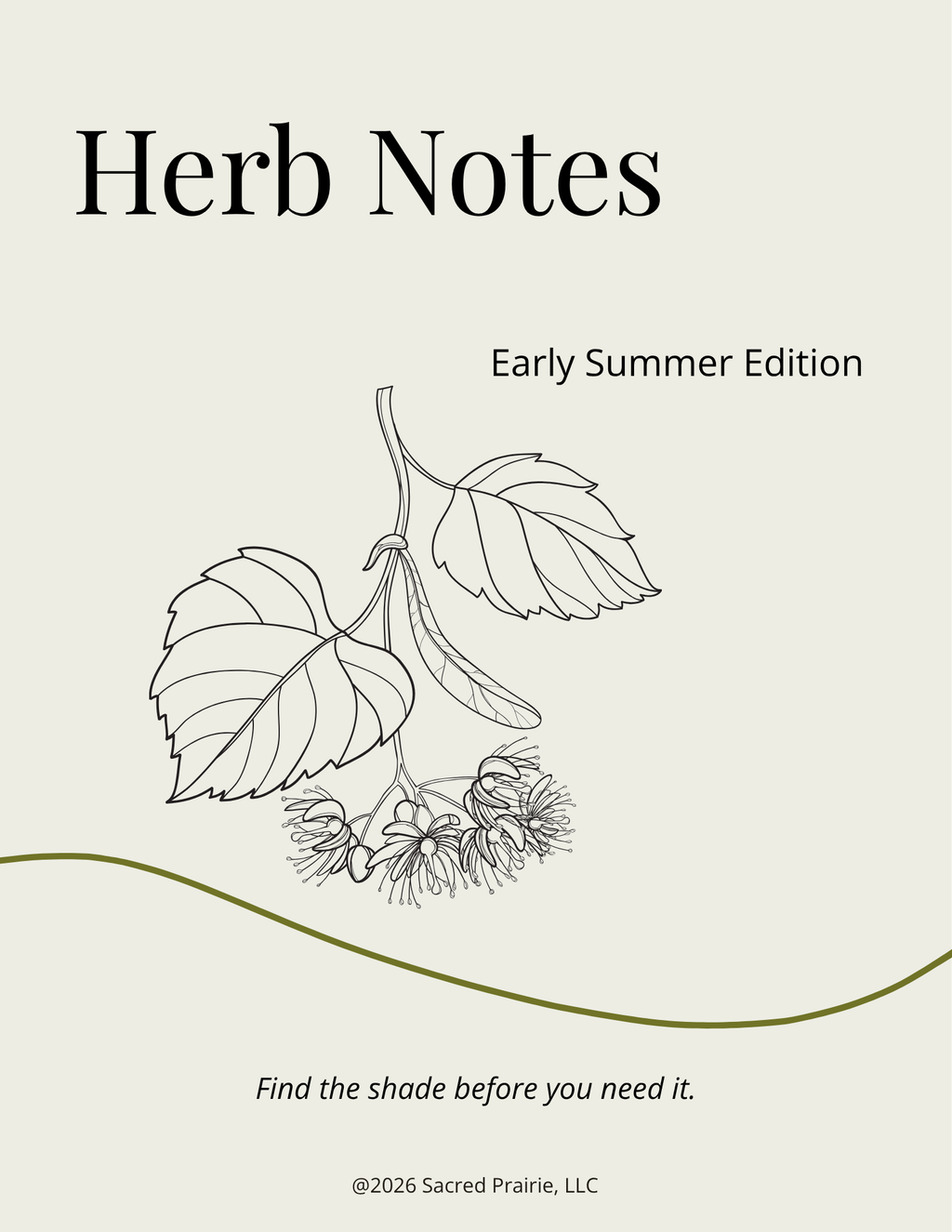 Herb Notes: Linden