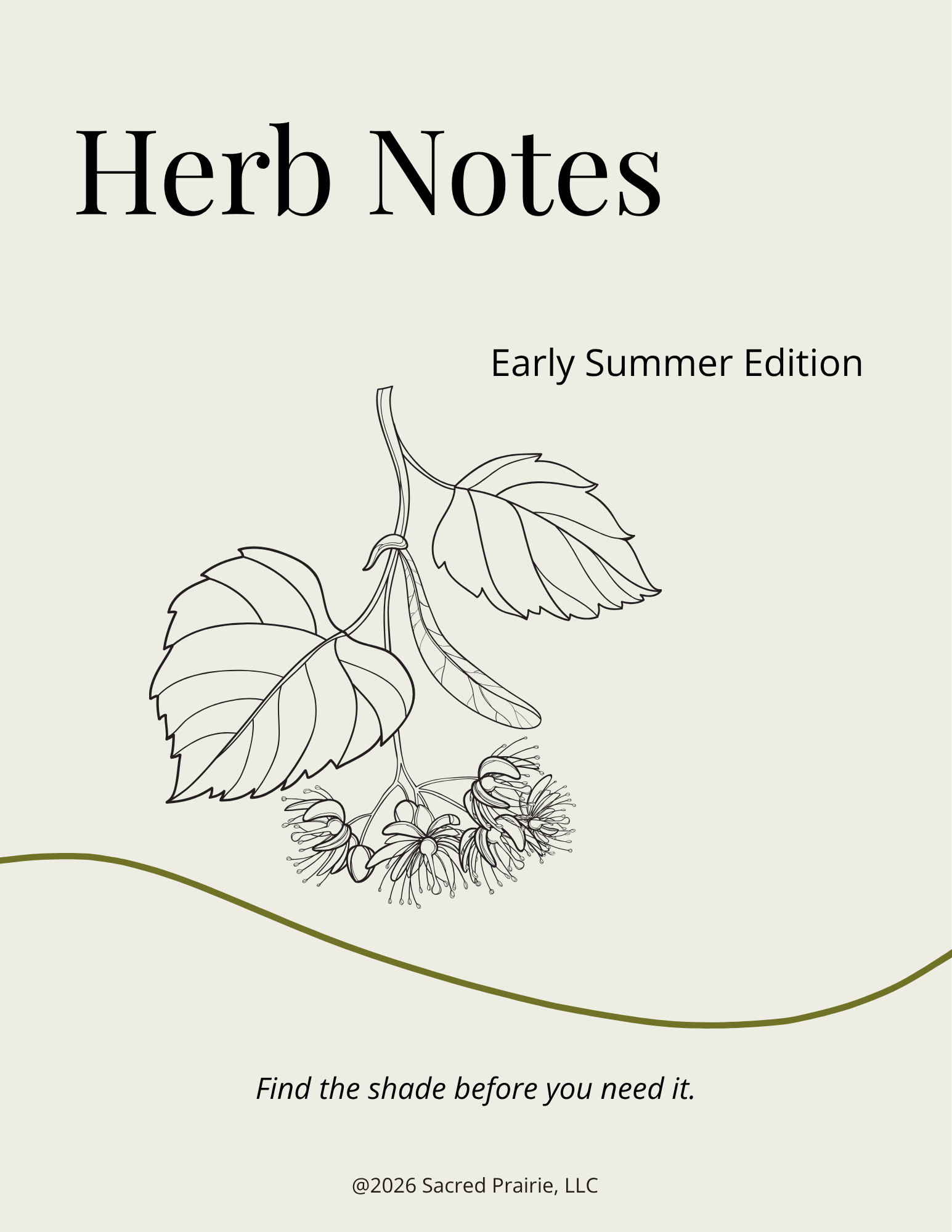 Herb Notes: Linden