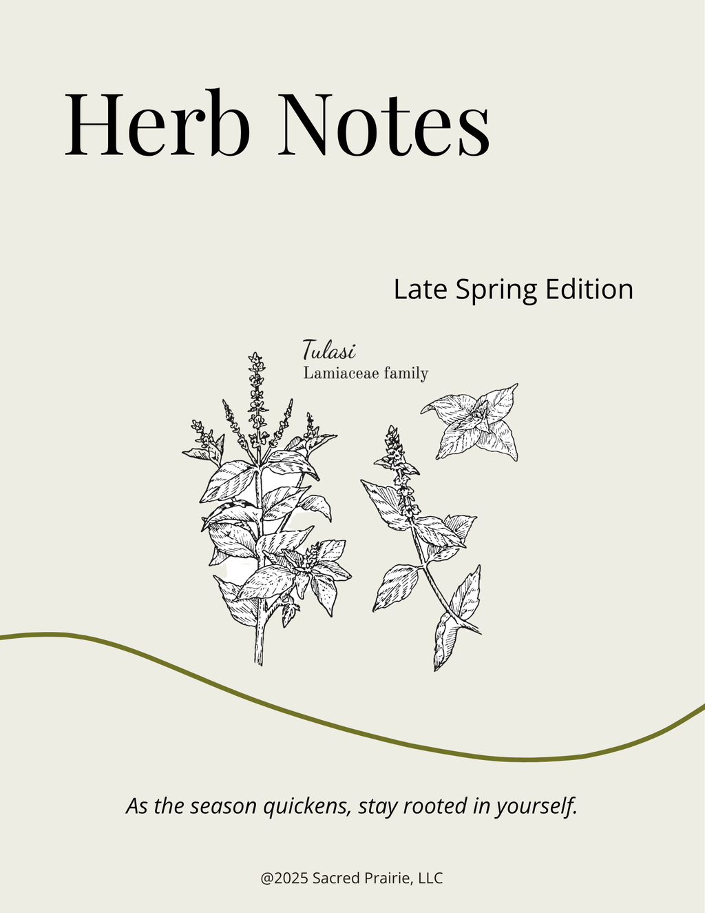 Herb Notes: Tulsi