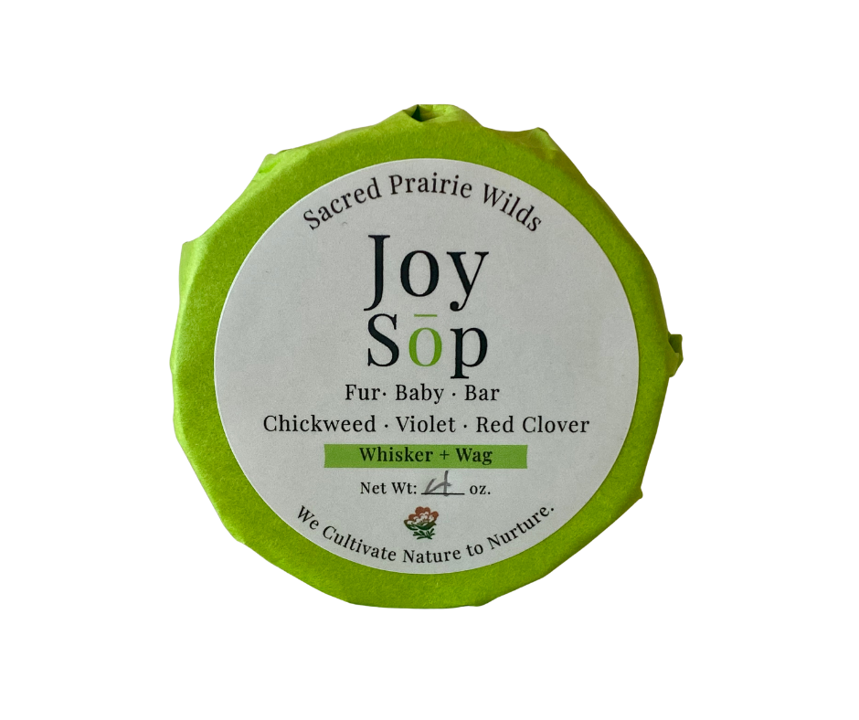 Joy Sōp