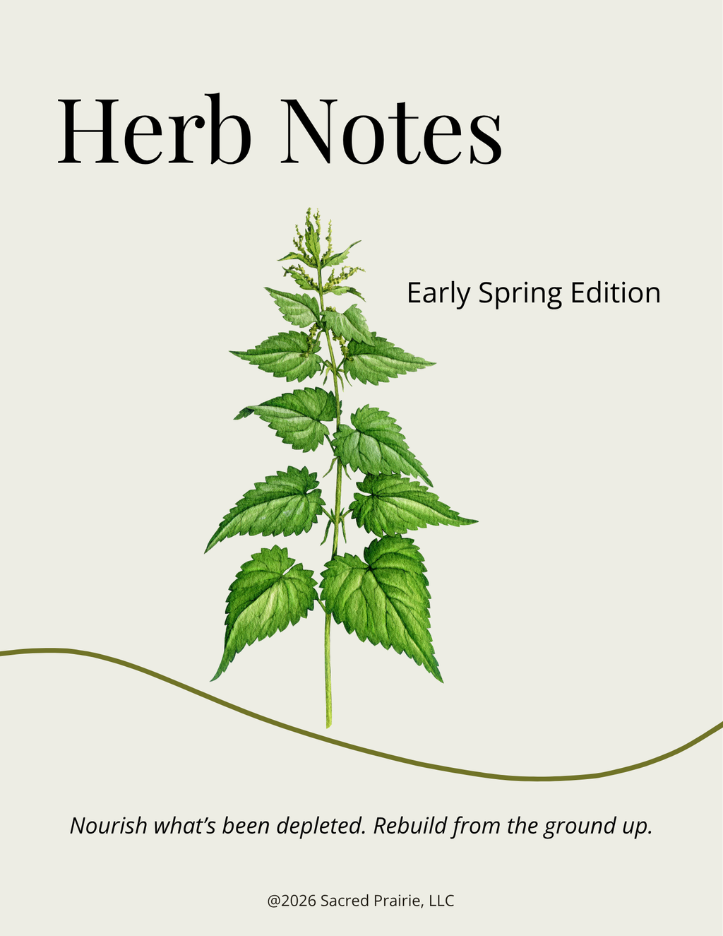 Herb Notes: Nettle