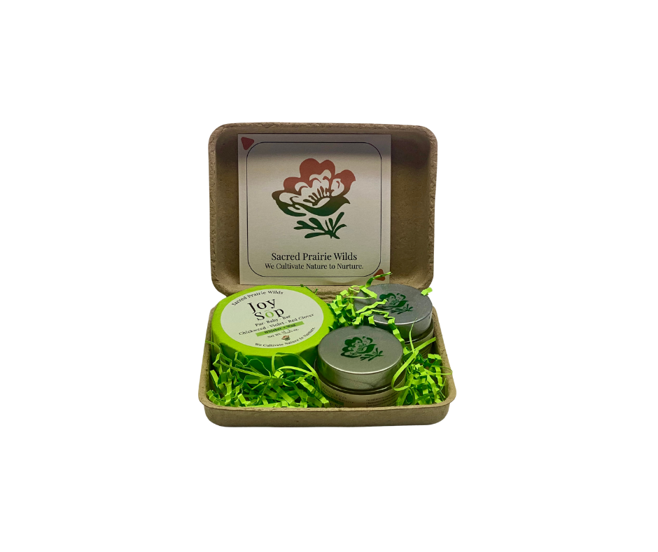 The Whisker + Wag Care Set