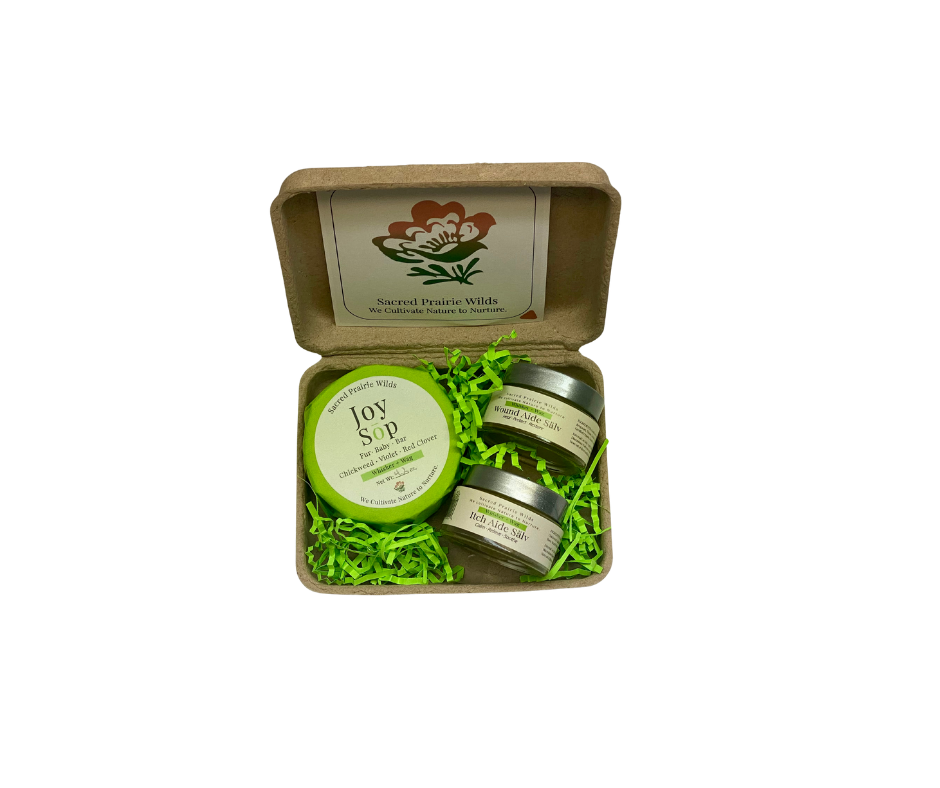 The Whisker + Wag Care Set